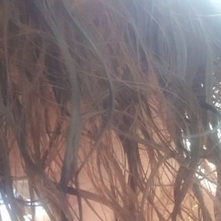 비니워니님이 올린 리뷰 사진 3