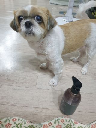 보리엄마님이 올린 리뷰 사진 3