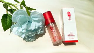 레드투래드 안티더스트 배리어 미스트 55ml — 4.5점을 준 리뷰어가 2021년 6월 올린 사용 사진
