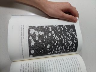 금주부님이 올린 리뷰 사진 3