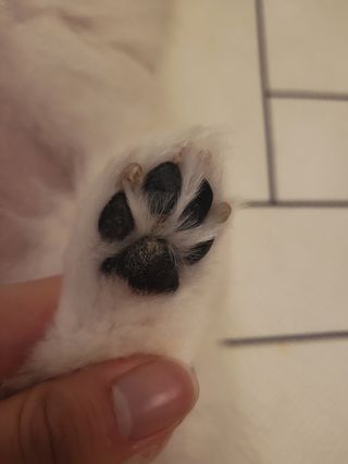 jju0i님이 올린 리뷰 사진 4