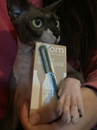 Dobby님이 올린 리뷰 사진 1