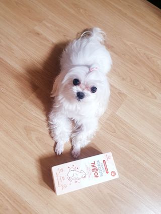 My Pet Care 모발과 모질 피부건강에 개좋아 — 5점을 준 리뷰어가 2021년 1월 올린 사용 사진