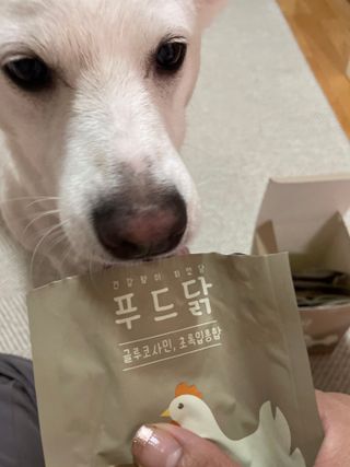 J님이 올린 리뷰 사진 3