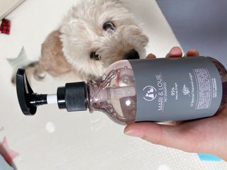 연쨩님이 올린 리뷰 사진 3