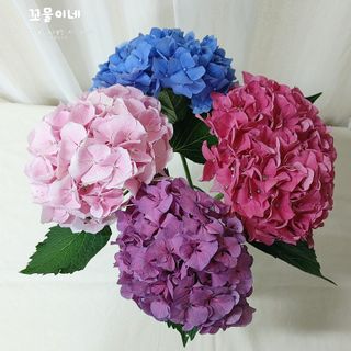 꼬물이님이 올린 리뷰 사진 2