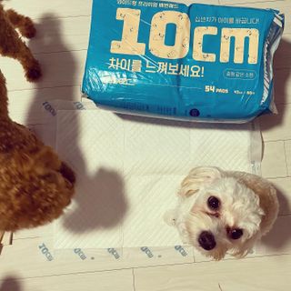 칸쵸님이 올린 리뷰 사진 1