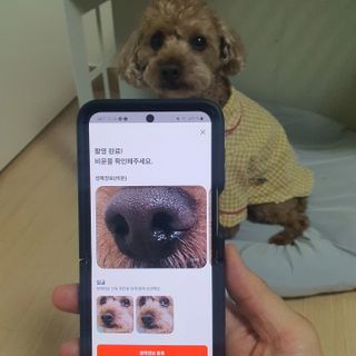 사랑해안시영님이 올린 리뷰 사진 3