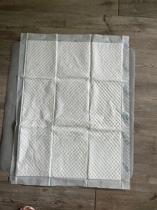 아베크 펫 와이드 프리미엄 대형 애견 강아지 배변 패드 30매 1팩 80g — 5점을 준 리뷰어가 2021년 7월 올린 사용 사진