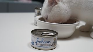 도르방구님이 올린 리뷰 사진 2
