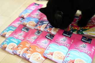 비타크래프트 고양이 수프 50g 3가지맛 x4팩씩 총 12팩 — 5점을 준 리뷰어가 2021년 8월 올린 사용 사진
