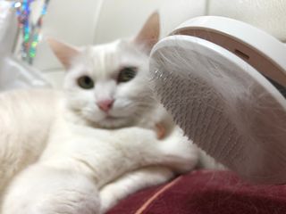 마요마요님이 올린 리뷰 사진 3