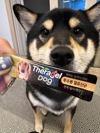 dahee♡님이 올린 리뷰 사진 2