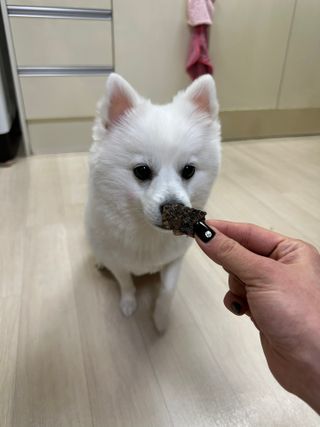 이세림님이 올린 리뷰 사진 2
