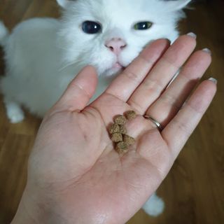 suususu님이 올린 리뷰 사진 1