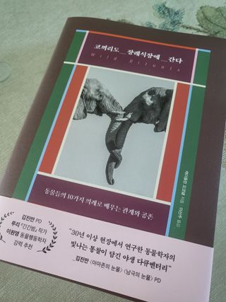 syjuknow님이 올린 리뷰 사진 1