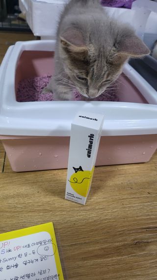 김주사랑님이 올린 리뷰 사진 2
