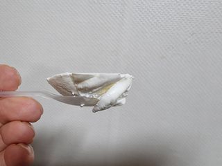 매일바이오 그릭요거트 오리지널 플레인 4개, 로스터리 커피믹스 4개 — 5점을 준 리뷰어가 2021년 12월 올린 사용 사진