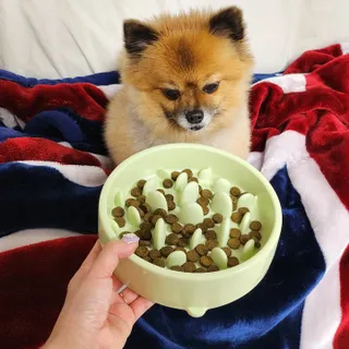 캐닌캐비어 알카라인 홀리스틱 그레이프리 앙뜨레 ALS_4종 오픈스카이, 와일드오션, 프리스피릿, 스페셜니즈 — 5점을 준 리뷰어가 2023년 2월 올린 사용 사진