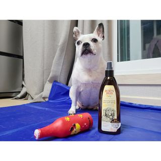 단발모리님이 올린 리뷰 사진 1