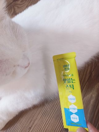 페페로니 맛있는 스틱 - 무항생제 닭고기 15개 + 원양선 참치 15개 — 5점을 준 리뷰어가 2021년 8월 올린 사용 사진
