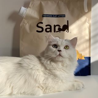 누래님이 올린 리뷰 사진 2