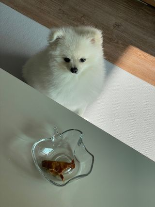핸감자님이 올린 리뷰 사진 1