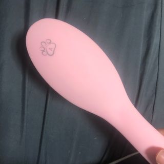 아이캔디 레인보우 볼륨S  브러쉬 for PET 미디엄 — 5점을 준 리뷰어가 2020년 12월 올린 사용 사진