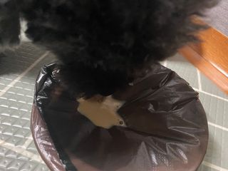 공팔리터최고다님이 올린 리뷰 사진 3