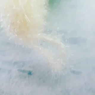 미니코코님이 올린 리뷰 사진 4