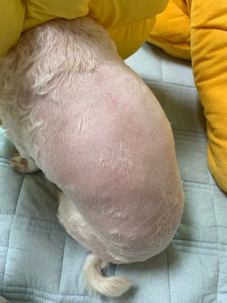 김주은님이 올린 리뷰 사진 4
