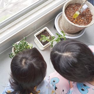 쏠맘님이 올린 리뷰 사진 2