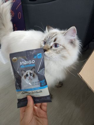 모쨩님이 올린 리뷰 사진 2