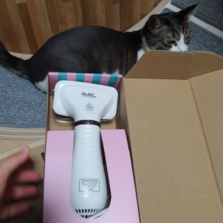아베크 펫 강아지 고양이 애견 에어 브러쉬 드라이기 올인원 — 5점을 준 리뷰어가 2021년 7월 올린 사용 사진