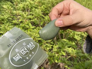 초비야님이 올린 리뷰 사진 2