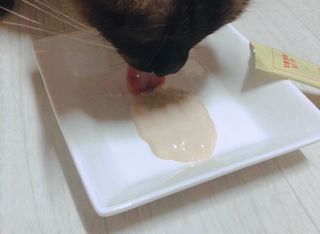 모닝스타님이 올린 리뷰 사진 4