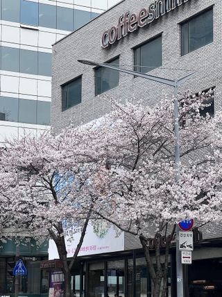 키키리님이 올린 리뷰 사진 2