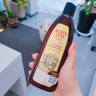 차차님이 올린 리뷰 사진 1