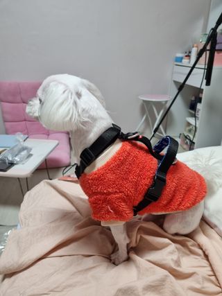노지혜님이 올린 리뷰 사진 2