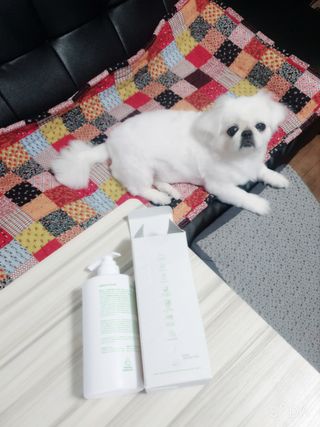 페키아름님이 올린 리뷰 사진 3