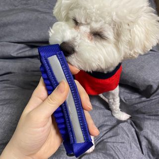 Kongeunji님이 올린 리뷰 사진 1