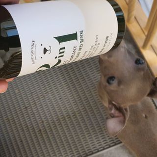 RubénSamuel님이 올린 리뷰 사진 3