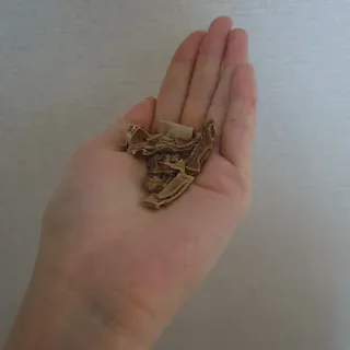 솜희님이 올린 리뷰 사진 2