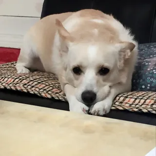 희비스커스님이 올린 리뷰 사진 3