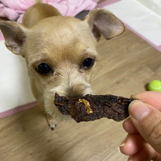 세지니힛님이 올린 리뷰 사진 3