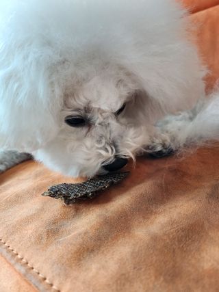 꾸꾸엄마님이 올린 리뷰 사진 3