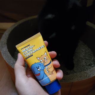 Pethroom 페스룸 PETHROOM DENTAL CARE SET 페스룸 덴탈 케어 세트 / 덴탈 클린 칫솔 + 덴탈 클린 치약 — 5점을 준 리뷰어가 2020년 12월 올린 사용 사진
