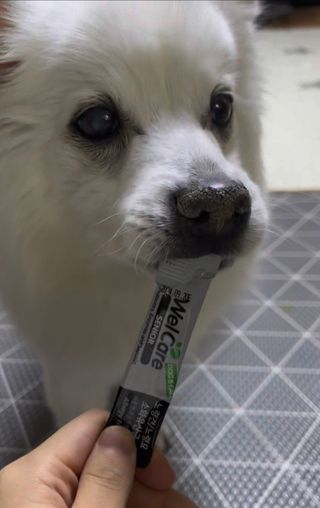 요하님이 올린 리뷰 사진 2