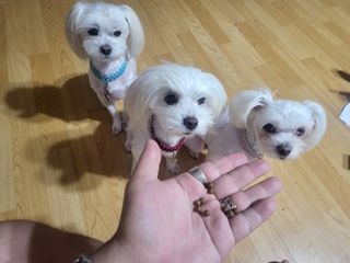 공팔리터님이 올린 리뷰 사진 2