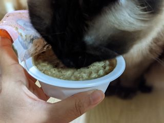 언니의호기심님이 올린 리뷰 사진 3